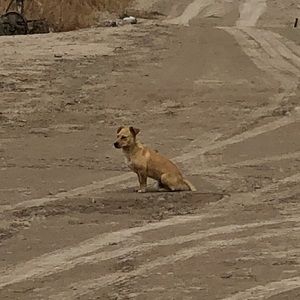 Meet your Posher, Omar